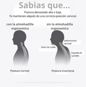 COJIN ERGONOMICO PARA AUTO ERGORIDE 🚗 PRO