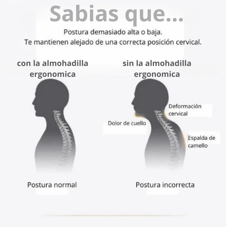 COJIN ERGONOMICO PARA AUTO ERGORIDE 🚗 PRO